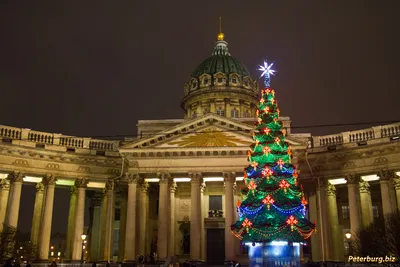 Фотографии новогоднего Петербурга - фото Санкт-Петербурга на Новый год,  Питер зимой