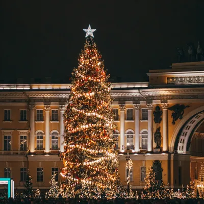 Новый год в Санкт-Петербурге