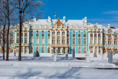 Новогодний Санкт-Петербург | Пикабу