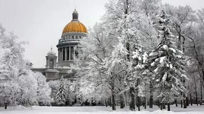 Фотографии новогоднего Петербурга - фото Санкт-Петербурга на Новый год,  Питер зимой