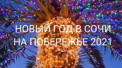 Новый год в Сочи!