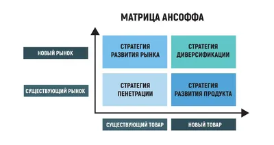 Как продвинуть новый товар в интернете: лучшие техники