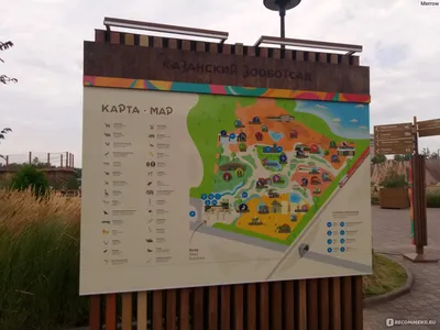 На новый казанский зоопарк “Река Замбези” потратят еще 480 миллионов рублей  - KP.RU