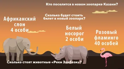 Строительство зоопарка «Река Замбези» в Казани: фото и видеорепортаж