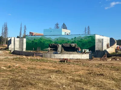 Первая половина животных переедет в новый пермский зоопарк этой осенью |  НОВОСТИ ПЕРМИ | МОЙ ГОРОД - ПЕРМЬ! — Новости Перми