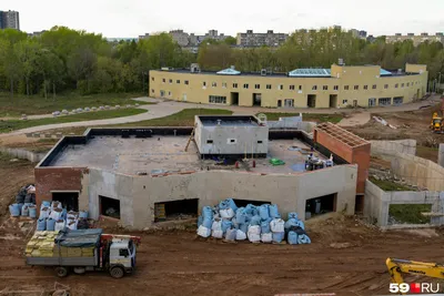 В Перми в новый зоопарк перевезли дикобразов | «Новый компаньон»