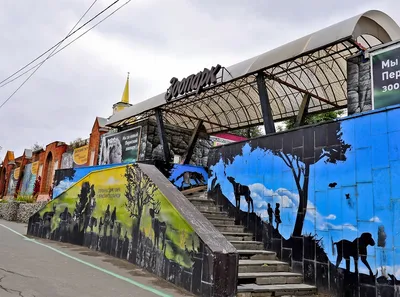 Переезд животных в новый зоопарк откладывается | 16.09.2022 | Пермь -  БезФормата