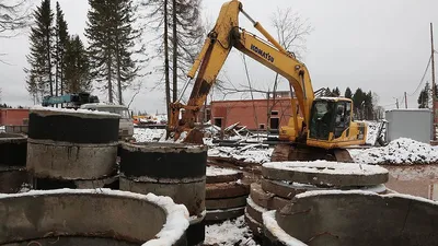 Последними в новый пермский зоопарк переедут крокодилы - Новости Перми и  Пермского края, ИА \"Текст\"