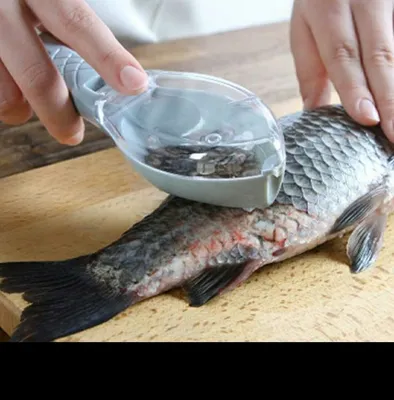 Каталог | Нож скребок для чистки рыбы