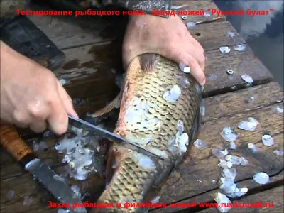 KLIOLIS Рыбочистка нож для чистки рыбы