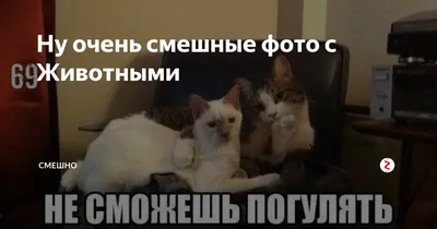 Чересчур Тур - Бывают очень смешные переписки 😆Можете... | Facebook