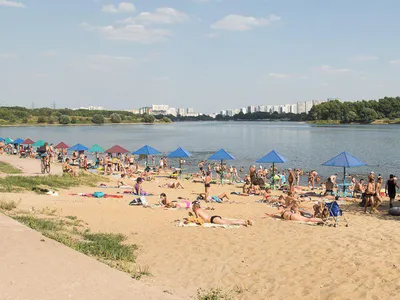 В Москве полиция нагрянула на нудистский пляж в Серебряном бору, задержав  отдыхающую - TOPNews.RU