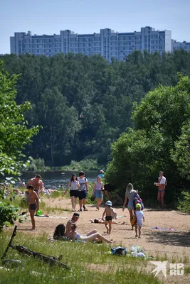 Нудистские пляжи в столице могут оказаться вне закона – Москва 24,  10.08.2015