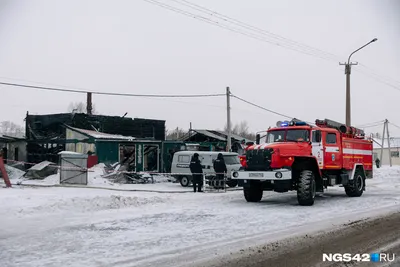 Фейки на пепелище