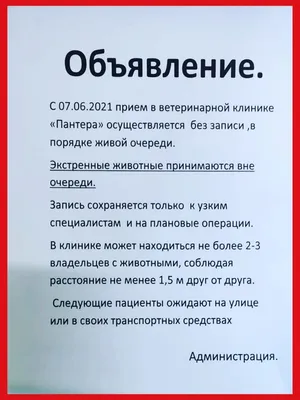 Как написать продающее объявление для недвижимости: составляем объявление  правильно - Недвижимость - Журнал Домклик