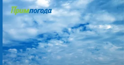 Высокослоистые (Altostratus) | Международный атлас облаков