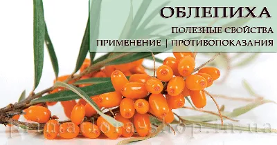 Сушеная облепиха без сахара и химии. Купить от (100 г.)