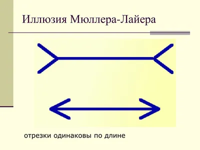 Штора для душа «Обман зрения» 180x20 - купить в Москве, цены на Мегамаркет