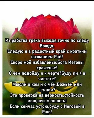 свидетелям Иеговы (разочаровавшимся и не только). Чтение начинайте с 1й  статьи. — Блог Ящика Ответов