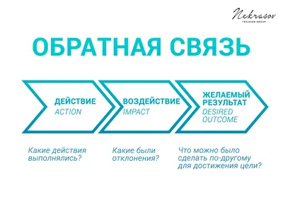 Работа в Markswebb: чейнджлоги и опросы сотрудников