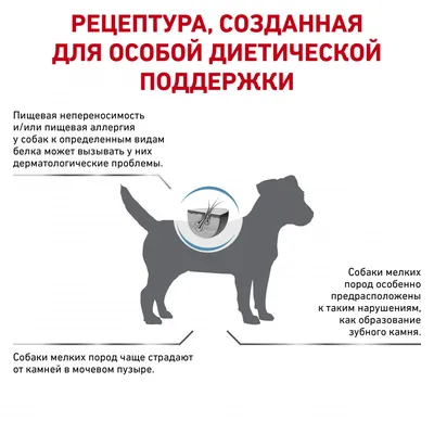 Royal Canin Hypoallergenic HSD 24 Small Dog для взрослых собак при пищевой  аллергии 1 кг - купить в Москве | КотМатрос