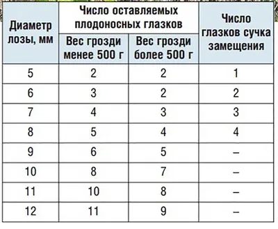 Виноград в Рязанской области