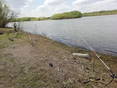 мочище - вести с водоемов. Рыбалка, прогноз клёва, погода