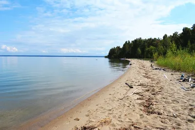 Обское море в Новосибирске — отдых, базы, цены, температура воды, пляж,  фото, где находится, как добраться