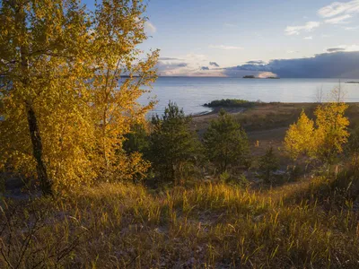 Обское море превращается в царство льда: 10 атмосферных фото