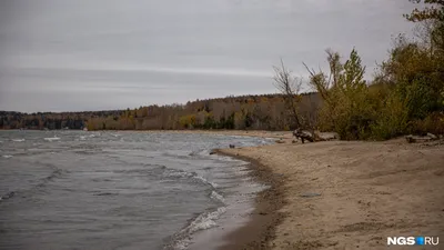 Обское море в Новосибирске — отдых, базы, цены, температура воды, пляж,  фото, где находится, как добраться