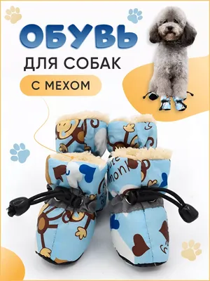 Aljeka Обувь для собак мелких средних пород