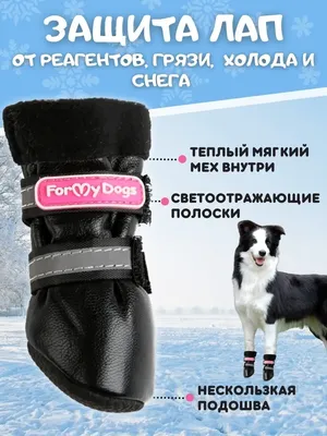 ForMyDogs Зимняя обувь для собак мелких и средних пород/меховые ботинки для/теплые  сапоги для