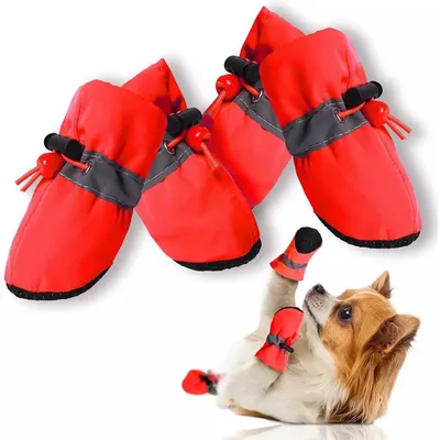 Обувь для собак \"мешочки\" Red Size 2 (ID#1492292323), цена: 229 ₴, купить на  Prom.ua