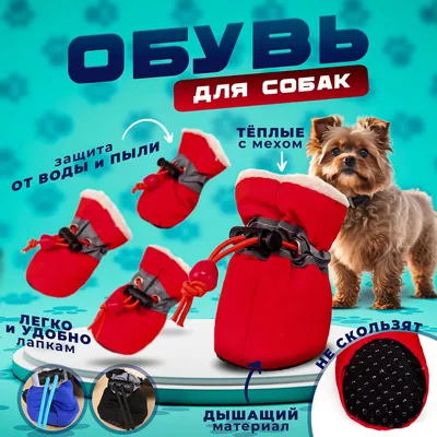 Обувь для собак Ferplast Dog Shoes S (2шт) купить по цене 599 ₽ с доставкой  в Москве и России, отзывы, фото
