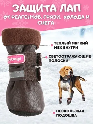 Сапоги зимние для собаки, дутики \"Мокси\". Обувь для собаки (ID#587239989),  цена: 450 ₴, купить на Prom.ua