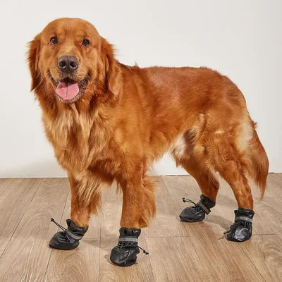 Зимняя обувь для собак на мягкой подошве ForMyDogs 4шт. купить по низкой  цене в интернет-магазине