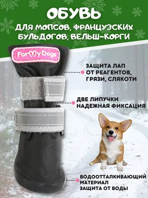 Симпатичная обувь для собак, водонепроницаемая обувь для дождя для собак,  нескользящая резиновая обувь для собак, аксессуары для французского  бульдога, мопса, товары для домашних животных | AliExpress