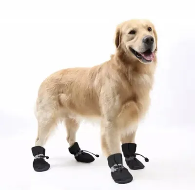 Водонепроницаемая обувь для собак Ultra Paws Durable США купите в Москве в  интернет-магазине Trends4Car