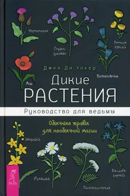 Обычные рисунки для срисовки - 82 фото