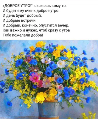 Как правильно говорить: \"Доброе утро\" или \"Доброго утра\"? | Утренние  \"пожелайки\" от Татьяны | Дзен