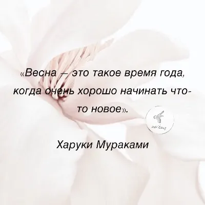 В наличии очень красивые ветровочки на тёплую весну , без утеплителя 🌸  Розовая единорог 24 мес , 2 года , 3 года Фиолетовая и пудра 2-5… |  Instagram