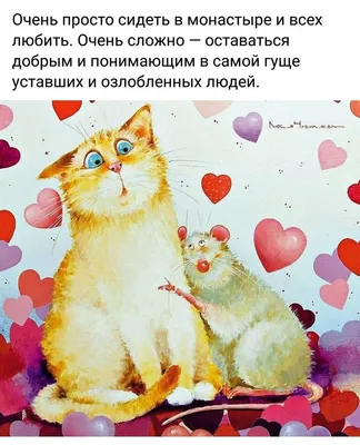 Самые смешные фото котов, которые наделали шума в интернете