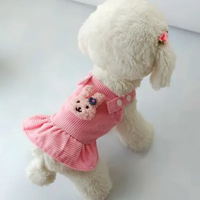 Собачья Одежда Rainbow Puppy Sweater Winter Theme Clothing Для Маленьких  Собак Французские Бульдоги Рождественский Костюм. От 1 482 руб. | DHgate