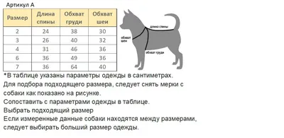 Создаем индивидуальную одежду для своих домашних собак