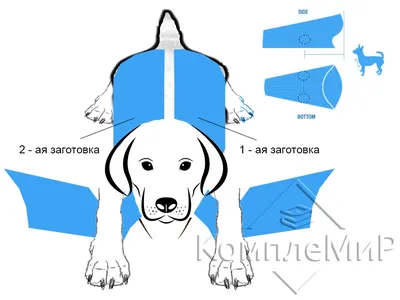 Купить и скачать выкройку Дождевик для собаки Друг | Интернет-магазин: Я шью