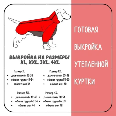 УРОК ПО МОДЕЛИРОВАНИЮ: БАЗОВАЯ ВЫКРОЙКА ДЛЯ СОБАК | ВКонтакте