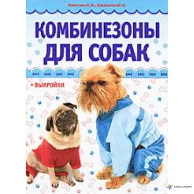 Как сшить комбинезон для собаки своими руками - выкройки, замеры, пошаговая  инструкция