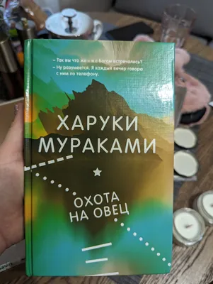 С точки зрения пассажира: на автобусе МАЗ-303 из Москвы в Одинцово —  Авторевю