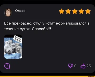 Юмор приколы - 👉Юмор позитив]]]👈Позитив на вес день 😉😉😉 Подпишись  будет весело !!!! 😉😉😉 👇👇👇 Юмор позитив]]]✓ Юмор позитив]]]✓ Юмор  позитив]]]✓ #юмор #весело #позитив #шутка #круто #классно #красиво  #оригинально #шок #прикол #смехдослез #