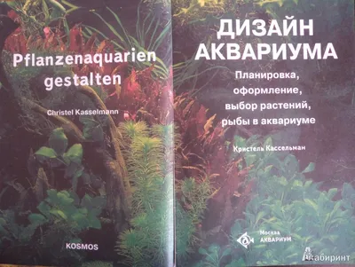 Рыбные правила. Свежая рыба, икра, деликатесы. - 🐟 СОЛЁНАЯ РЫБА🐟 ⠀ А у  нас всё ещё продолжаются привозы. Но эта новинка достойна отдельного поста!  ⠀ Самый часто задаваемый вопрос при оформлении заказа: «